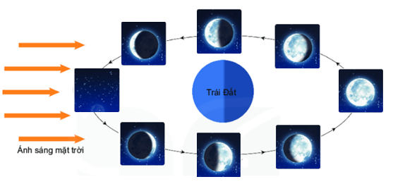 Giáo án KHTN 6 Chân trời sáng tạo Bài 44: Chuyển động nhìn thấy của Mặt Trời | Giáo án Khoa học tự nhiên 6