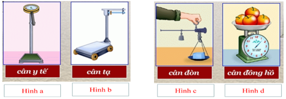 Giáo án KHTN 6 Chân trời sáng tạo Bài 5: Đo khối lượng | Giáo án Khoa học tự nhiên 6