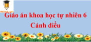 Giáo án Khoa học tự nhiên 6 Cánh diều | Giáo án KHTN 6 mới, chuẩn