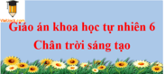 Giáo án Khoa học tự nhiên 6 Chân trời sáng tạo | Giáo án KHTN 6 mới, chuẩn nhất