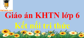 Giáo án Khoa học tự nhiên lớp 6 Kết nối tri thức | Giáo án KHTN 6 mới, chuẩn nhất