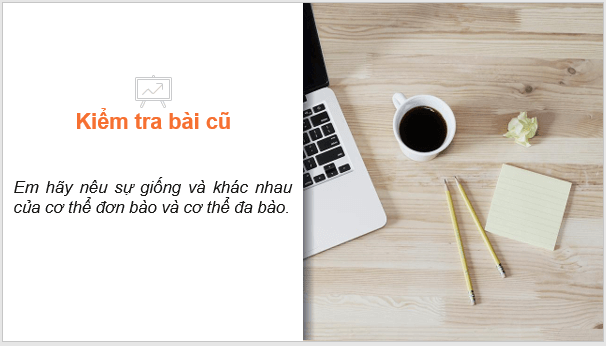Giáo án điện tử KNTN 6 Chân trời sáng tạo Bài 20: Các cấp độ tổ chức trong cơ thể đa bào | PPT Khoa học tự nhiên 6