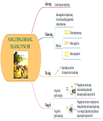 Giáo án KHTN 7 Kết nối tri thức Bài 15: Năng lượng ánh sáng. Tia sáng, vùng tối | Giáo án Khoa học tự nhiên 7 (ảnh 21)