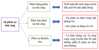 Giáo án KHTN 7 Kết nối tri thức Bài 16: Sự phản xạ ánh sáng | Giáo án Khoa học tự nhiên 7 (ảnh 7)