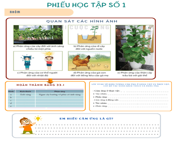 Giáo án KHTN 7 Kết nối tri thức Bài 33: Cảm ứng ở sinh vật và tập tính ở động vật | Giáo án Khoa học tự nhiên 7 (ảnh 2)