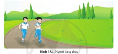 Giáo án KHTN 7 Cánh diều Bài 35: Sự thống nhất về cấu trúc và các hoạt động sống trong cơ thể sinh vật | Giáo án Khoa học tự nhiên 7