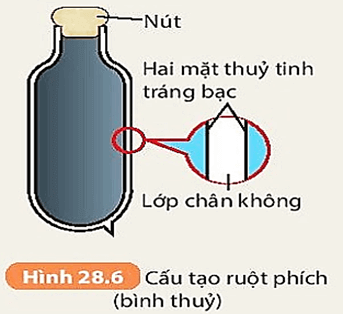 Giáo án KHTN 8 Kết nối tri thức Bài 28: Sự truyền nhiệt | Giáo án Khoa học tự nhiên 8