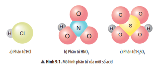 Giáo án KHTN 8 Chân trời sáng tạo Bài 9: Acid | Giáo án Khoa học tự nhiên 8