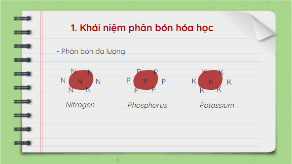 Giáo án điện tử KHTN 8 Cánh diều Bài 13: Phân bón hóa học | PPT Khoa học tự nhiên 8