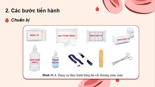 Giáo án điện tử KHTN 8 Cánh diều Bài 31: Thực hành về máu về hệ tuần hoàn | PPT Khoa học tự nhiên 8