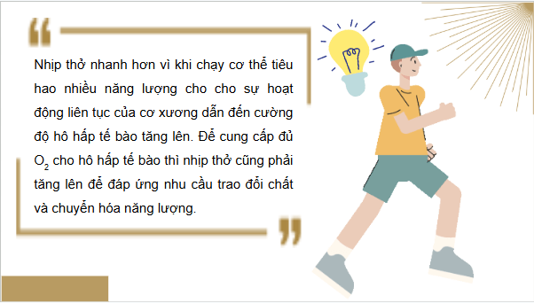Giáo án điện tử KHTN 8 Cánh diều Bài 32: Hệ hô hấp ở người | PPT Khoa học tự nhiên 8