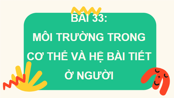 Giáo án điện tử KHTN 8 Cánh diều Bài 33: Môi trường trong cơ thể và hệ bài tiết ở người | PPT Khoa học tự nhiên 8