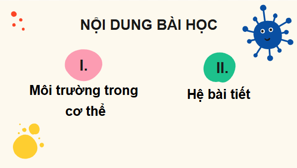 Giáo án điện tử KHTN 8 Cánh diều Bài 33: Môi trường trong cơ thể và hệ bài tiết ở người | PPT Khoa học tự nhiên 8