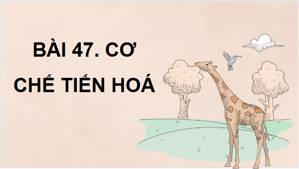 Giáo án điện tử KHTN 9 Chân trời sáng tạo Bài 47: Cơ chế tiến hoá | PPT Khoa học tự nhiên 9