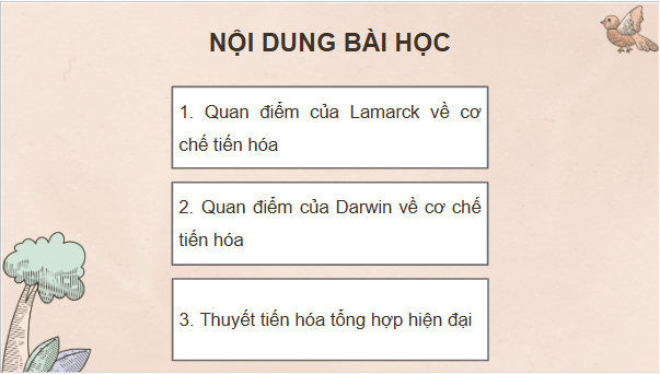 Giáo án điện tử KHTN 9 Chân trời sáng tạo Bài 47: Cơ chế tiến hoá | PPT Khoa học tự nhiên 9