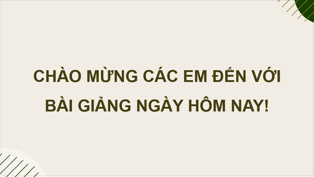 Giáo án điện tử Chuyên đề KTPL 10 Kết nối tri thức Bài 5: Tổ chức, hoạt động của doanh nghiệp nhỏ | PPT Chuyên đề Kinh tế Pháp luật 10
