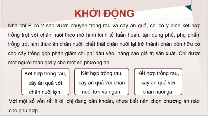 Giáo án điện tử KTPL 11 Kết nối tri thức Bài 6: Ý tưởng, cơ hội kinh doanh và các năng lực cần thiết của người kinh doanh | PPT Kinh tế Pháp luật 11