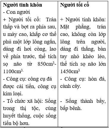 Giáo án Lịch Sử 6 Bài 7: Ôn tập (mới, chuẩn nhất)