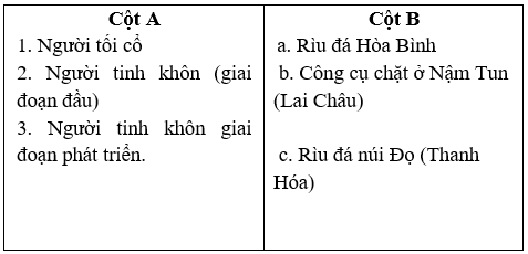 Giáo án Lịch Sử 6 Bài 8: Thời nguyên thủy trên đất nước ta (mới, chuẩn nhất)