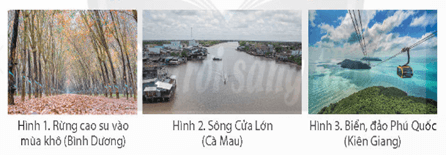 Giáo án Lịch Sử và Địa Lí lớp 4 Chân trời sáng tạo Bài 23: Thiên nhiên vùng Nam Bộ