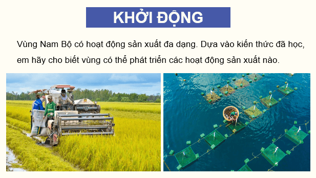 Giáo án điện tử Lịch Sử và Địa Lí lớp 4 Kết nối tri thức Bài 25: Dân cư và hoạt động sản xuất ở vùng Nam Bộ | PPT Lịch Sử và Địa Lí 4