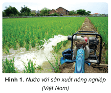 Giáo án Lịch Sử và Địa Lí lớp 5 Cánh diều Bài 23: Xây dựng thế giới xanh - sạch - đẹp