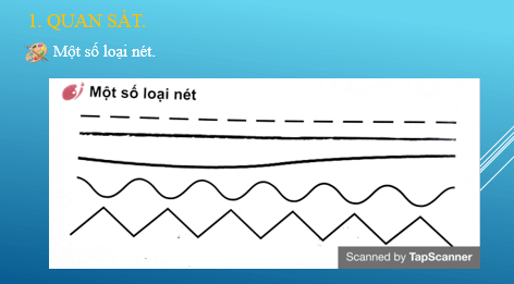 Giáo án điện tử Mĩ thuật lớp 1 Kết nối tri thức Chủ đề 3: Nét vẽ của em | PPT Mĩ thuật 1