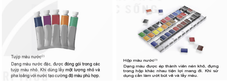 Giáo án Mĩ thuật 11 Kết nối tri thức Bài 1: Kĩ thuật vẽ màu nước 