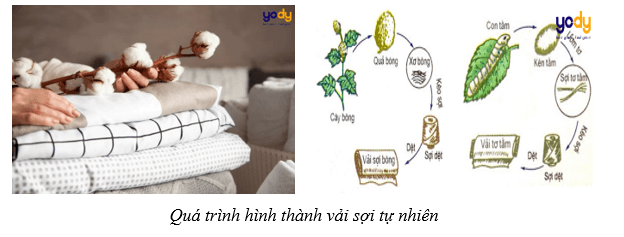 Giáo án Mĩ thuật 12 Kết nối tri thức Bài 2: Thiết kế trang phục từ vật liệu sẵn có