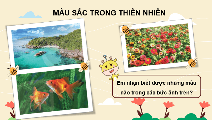 Giáo án điện tử Mĩ thuật lớp 3 Kết nối tri thức Chủ đề 3: Màu sắc em yêu | PPT Mĩ thuật 3