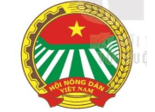 Giáo án Mĩ thuật 7 Kết nối tri thức Kiểm tra, trưng bày cuối học kì I