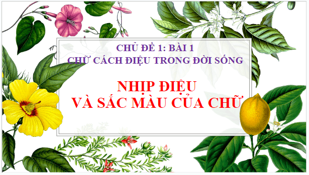 Giáo án điện tử Mĩ thuật 7 Chân trời sáng tạo Bài 1: Nhịp điệu và sắc màu của chữ | PPT Mĩ thuật 7