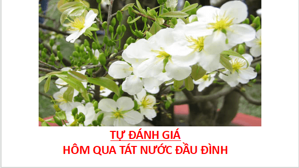 Giáo án điện tử bài Hôm qua tát nước đầu đình | PPT Văn 11 Cánh diều