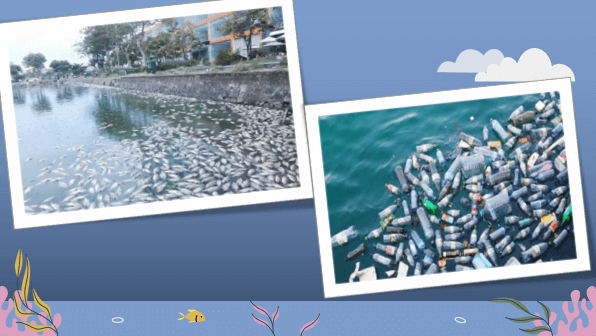 Giáo án điện tử bài Sự ô nhiễm nguồn nước trên bề mặt trái đất và hậu quả | PPT Văn 12 Chân trời sáng tạo