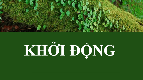 Giáo án điện tử bài Viết bài văn nghị luận so sánh, đánh giá hai tác phẩm thơ | PPT Văn 12 Chân trời sáng tạo