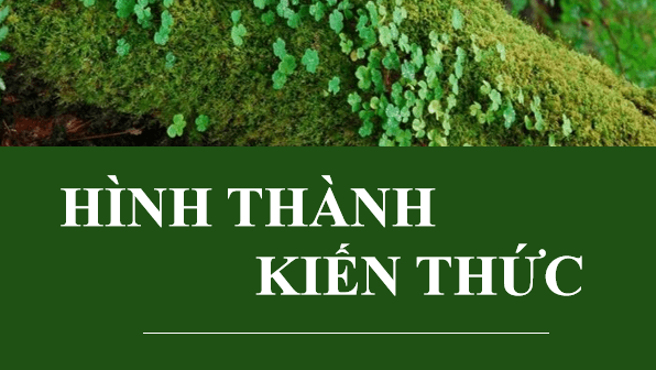 Giáo án điện tử bài Viết bài văn nghị luận so sánh, đánh giá hai tác phẩm thơ | PPT Văn 12 Chân trời sáng tạo