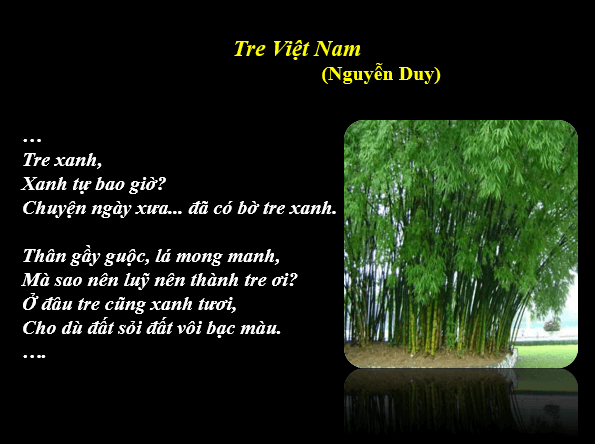 Giáo án điện tử bài Cây tre Việt Nam | PPT Văn 6 Kết nối tri thức