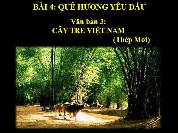 Giáo án điện tử bài Cây tre Việt Nam | PPT Văn 6 Kết nối tri thức