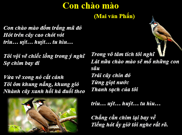 Giáo án điện tử bài Con chào mào | PPT Văn 6 Kết nối tri thức