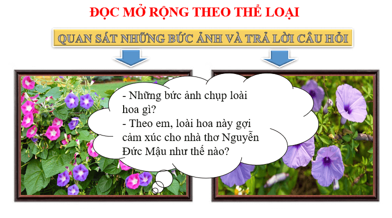 Giáo án điện tử bài Hoa bìm | PPT Văn 6 Chân trời sáng tạo