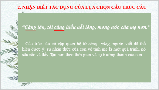 Giáo án điện tử bài Thực hành tiếng Việt lớp 6 trang 61 | PPT Văn 6 Kết nối tri thức