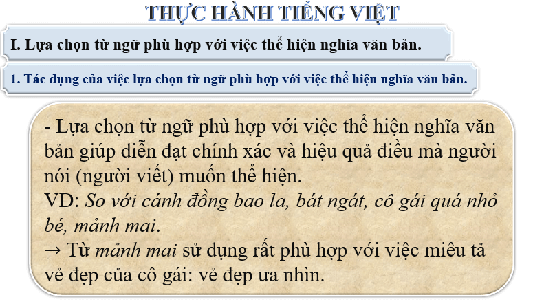 Giáo án điện tử bài Thực hành tiếng Việt trang 67 | PPT Văn 6 Chân trời sáng tạo