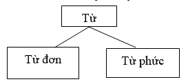 Giáo án bài Từ đơn và từ phức | Giáo án Ngữ văn 6 Cánh diều