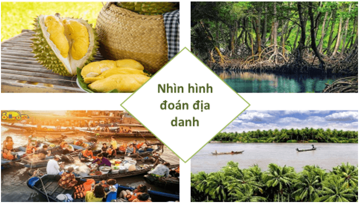 Giáo án bài Đi lấy mật | Giáo án Ngữ Văn 7 Kết nối tri thức