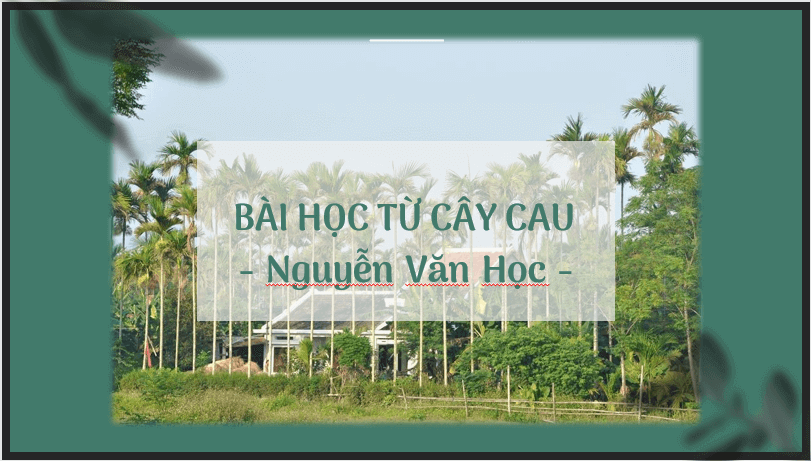 Giáo án điện tử bài Bài học từ cây cau | PPT Văn 7 Chân trời sáng tạo