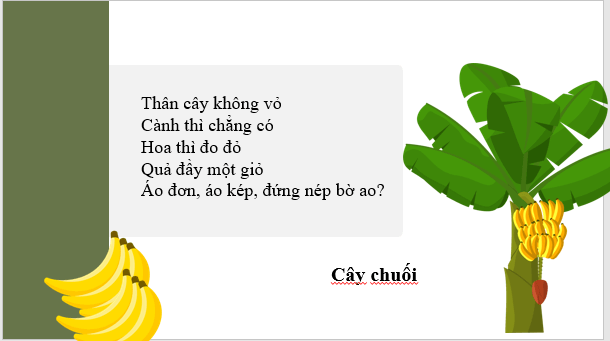 Giáo án điện tử bài Cây tre Việt Nam | PPT Văn 7 Cánh diều