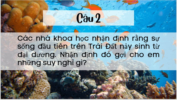 Giáo án điện tử bài Cuộc chạm trán trên đại dương | PPT Văn 7 Kết nối tri thức