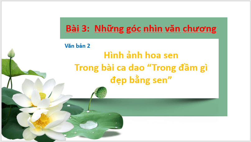 Giáo án điện tử bài Hình ảnh hoa sen trong bài ca dao Trong đầm gì đẹp bằng sen | PPT Văn 7 Chân trời sáng tạo