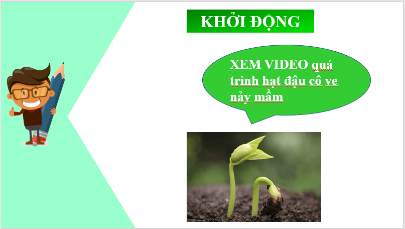 Giáo án điện tử bài Lời của cây | PPT Văn 7 Chân trời sáng tạo