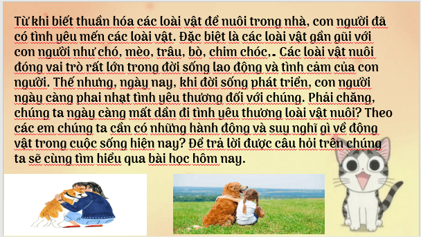 Giáo án điện tử bài Một con mèo nằm ngủ trên ngực tôi | PPT Văn 7 Chân trời sáng tạo